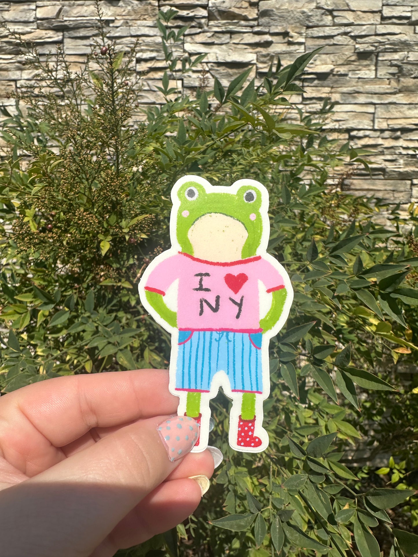 I love NY Frog sticker